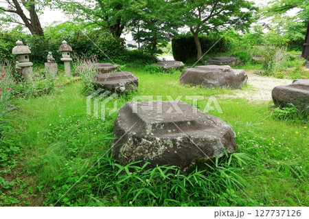 史跡本薬師寺跡　金堂礎石 127737126