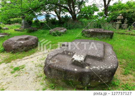 史跡本薬師寺跡　金堂礎石 127737127