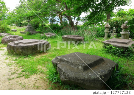 史跡本薬師寺跡 金堂礎石 史跡本薬師寺跡 金堂礎石 127737128