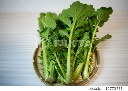 奈良県伝統野菜の大和まな 奈良県伝統野菜の大和まな 127737514