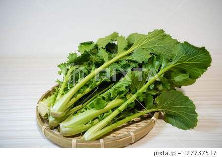 奈良の伝統野菜の大和まな 奈良の伝統野菜の大和まな 127737517
