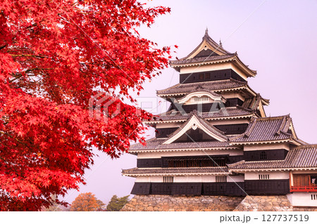 日本の風景　紅葉の松本城 127737519
