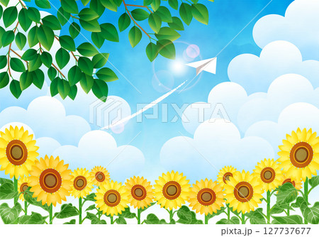 青空に向かって飛ぶ紙飛行機と向日葵の背景2 127737677