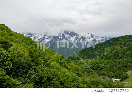 夏のスキー場 ゲレンデ風景 鹿島槍スキー場 長野県 夏のスキー場 ゲレンデ風景 鹿島槍スキー場 長野県 127737749