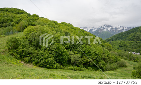 夏のスキー場 ゲレンデ風景 鹿島槍スキー場 長野県 夏のスキー場 ゲレンデ風景 鹿島槍スキー場 長野県 127737755