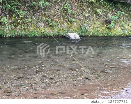 浅瀬の川と緑の護岸 浅瀬の川と緑の護岸 127737781