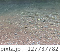 浅瀬に透ける川底の石と水のゆらぎ 127737782
