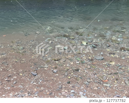 浅瀬に透ける川底の石と水のゆらぎ 127737782