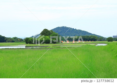 史跡藤原京朱雀大路跡からみた藤原宮大極殿跡 127738612