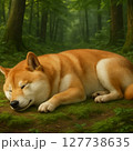 癒しの森で眠る柴犬（リアルイラスト） 127738635