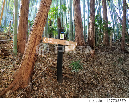 神奈川県・新治市民の森・標識コレクション・C-3(2025年) 神奈川県・新治市民の森・標識コレクション・C-3(2025年) 127738779