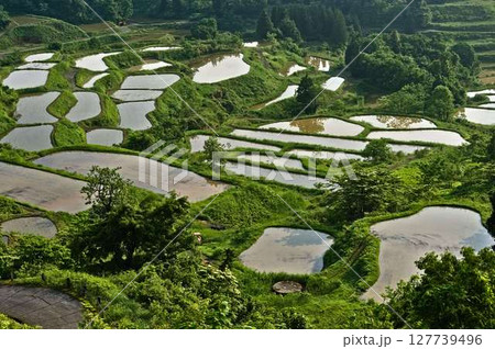 新緑の星峠 127739496