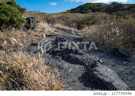 三原山のパホイホイ溶岩 127739546