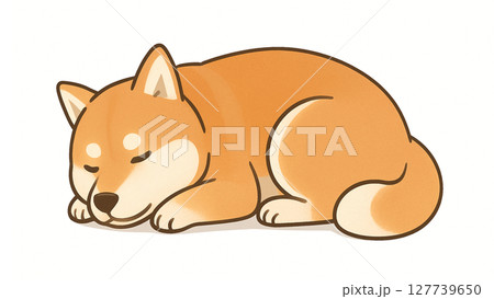 白背景でお昼寝する柴犬のリアルイラスト 白背景でお昼寝する柴犬のリアルイラスト 127739650