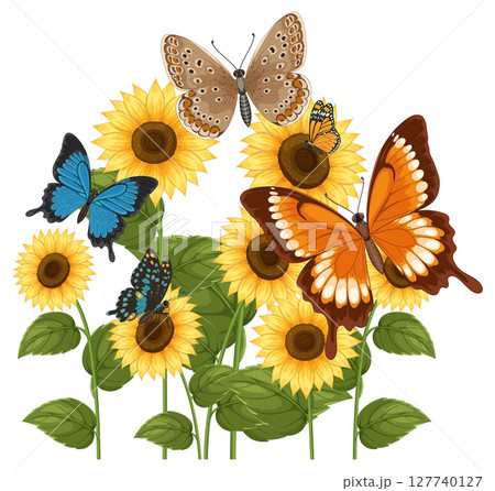 Vibrant Butterflies and Sunflowers Vector Illustration 127740127