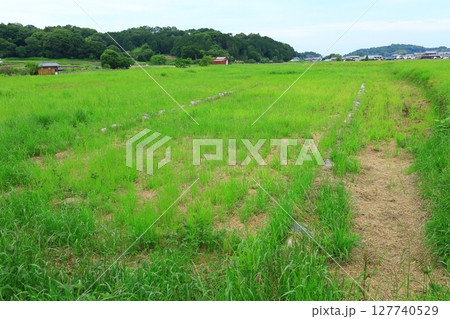 飛鳥京跡苑池 飛鳥京跡苑池 127740529