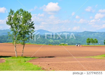 夏の新潟県小千谷市山本山高原風景 127740555