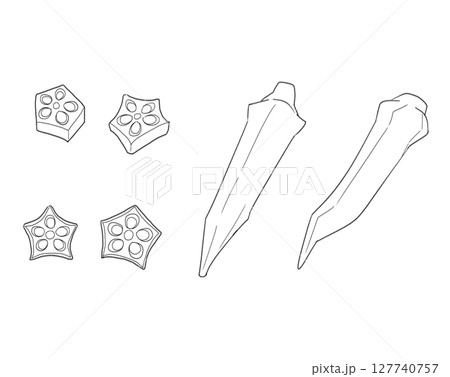 オクラの線画 オクラの線画 127740757