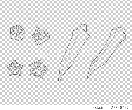 秋葵線描 127740757