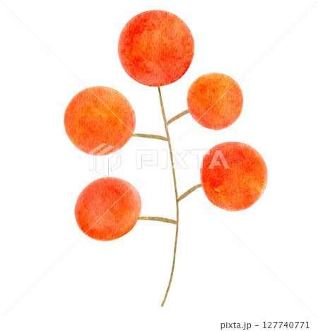 赤い実 木の実 水彩 イラスト 赤い実 木の実 水彩 イラスト 127740771