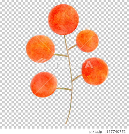 赤い実 木の実 水彩 イラスト 赤い実 木の実 水彩 イラスト 127740771