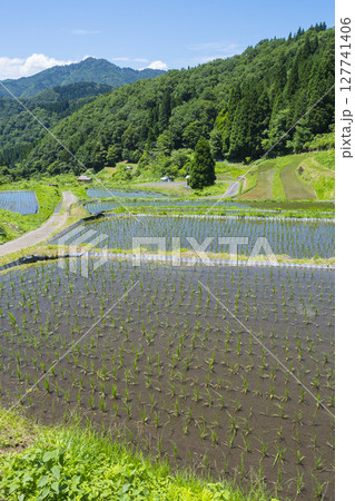 田植えを終えた若桜氷ノ山の棚田の風景 鳥取県 若桜町 田植えを終えた若桜氷ノ山の棚田の風景 鳥取県 若桜町 127741406