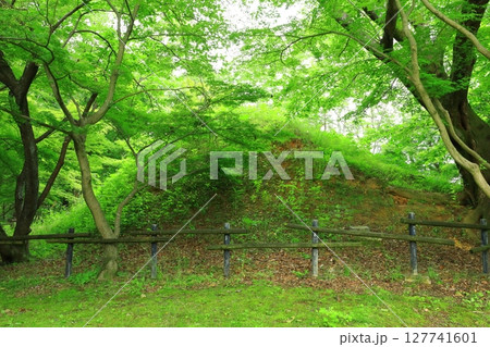 史跡　中尾山古墳 127741601