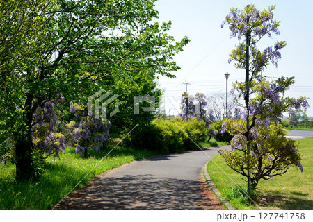 やすらぎの里しもつま　＃36 127741758