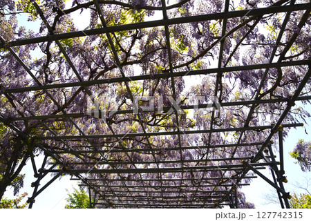 やすらぎの里しもつま　＃53 127742315