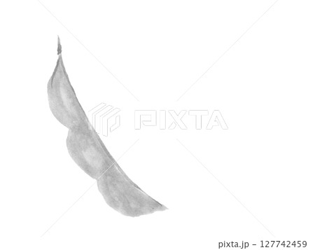 枝豆　手描きの食材モノクロイラスト 127742459