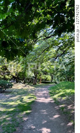 The beautiful views in Hokkaido The beautiful views in Hokkaido 127742762