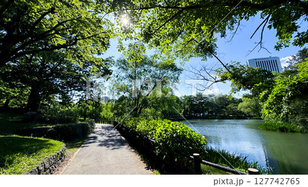 The beautiful views in Hokkaido 127742765