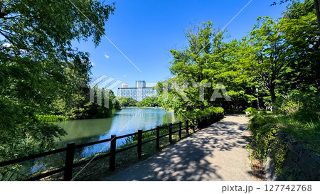 The beautiful views in Hokkaido The beautiful views in Hokkaido 127742768