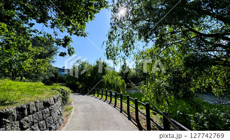 The beautiful views in Hokkaido The beautiful views in Hokkaido 127742769