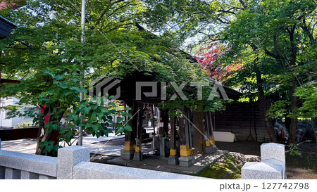 The beautiful views in Hokkaido 127742798