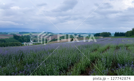 The beautiful views in Hokkaido 127742874