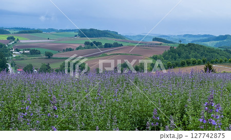 The beautiful views in Hokkaido The beautiful views in Hokkaido 127742875