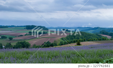 The beautiful views in Hokkaido 127742881