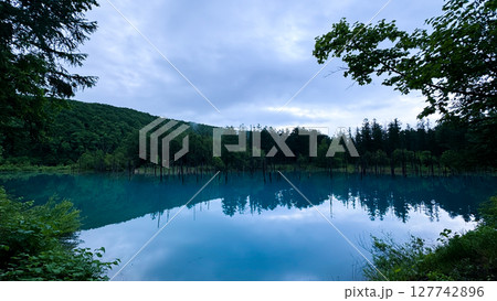 The beautiful views in Hokkaido The beautiful views in Hokkaido 127742896