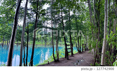 The beautiful views in Hokkaido 127742900