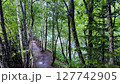 The beautiful views in Hokkaido 127742905