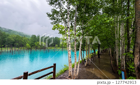 The beautiful views in Hokkaido The beautiful views in Hokkaido 127742913