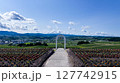 The beautiful views in Hokkaido 127742915