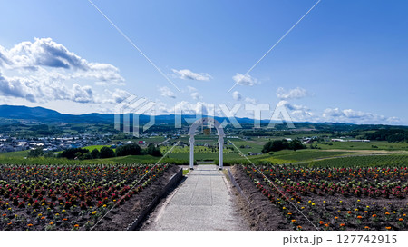 The beautiful views in Hokkaido The beautiful views in Hokkaido 127742915