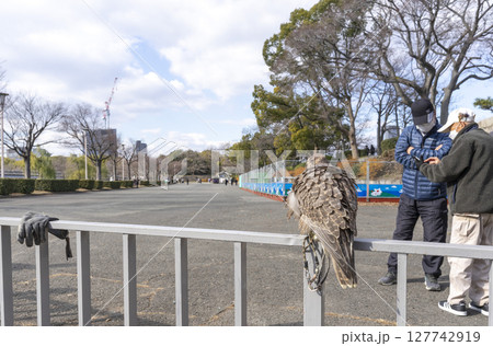 Osaka, Japan - Dec 30, 2022 : The eagle at Osaka castle in Osaka, Japan on Dec 30, 2022. 127742919