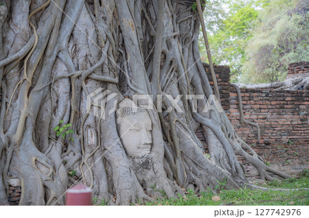 タイ 菩提樹の根に覆われた仏頭 タイ 菩提樹の根に覆われた仏頭 127742976
