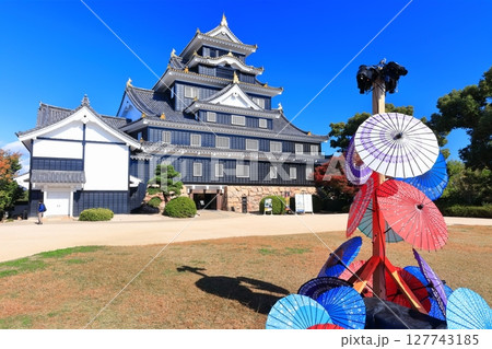 【岡山県】紅葉した岡山城の天守閣（令和の大改修後） 127743185