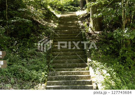 自然公園の階段道　木漏れ日が差す緑の散策路 127743684