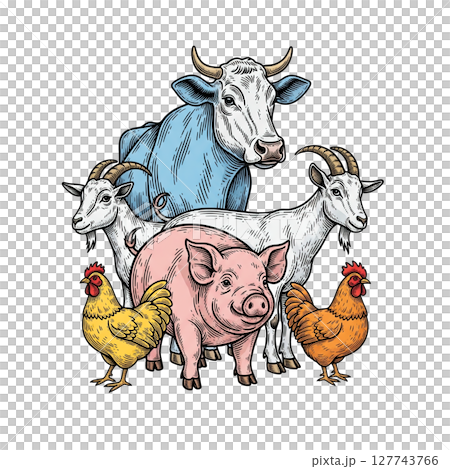 Diverse farm animal group: cow, goats, pig, chickens, representing agriculture. 127743766