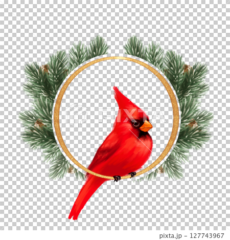 Vibrant hand-drawn illustration with red cardinal bird perched in a golden-ringed pine wreath, perfect for holiday cards, decor, and seasonal designs 127743967
